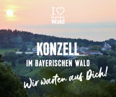img_i-mog-bayerischer-wald-konzell